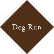 dog run